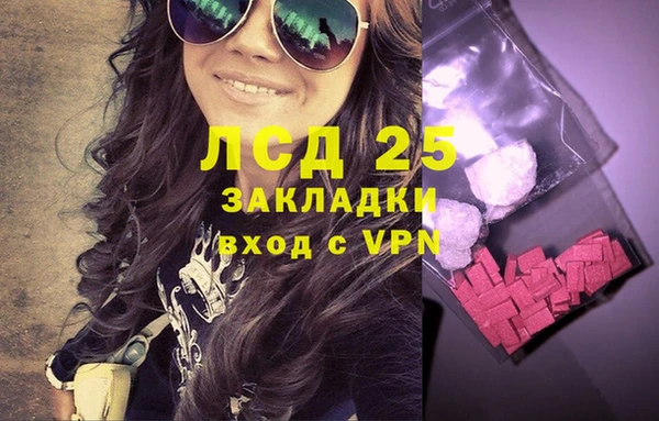 индика Армянск